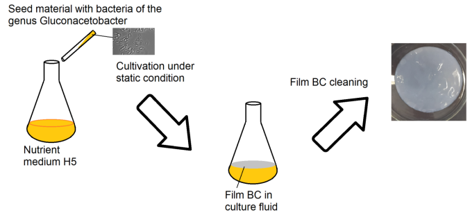 fig1