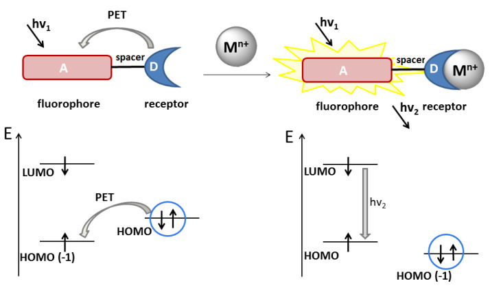 fig1