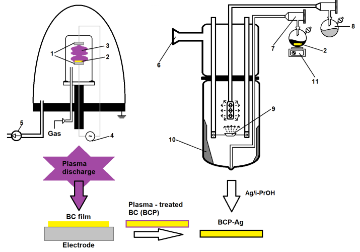 fig2