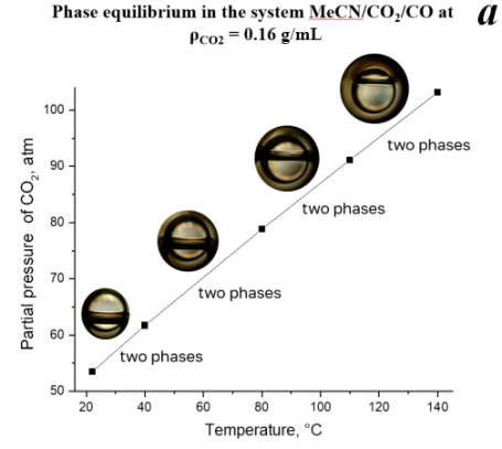 fig2a