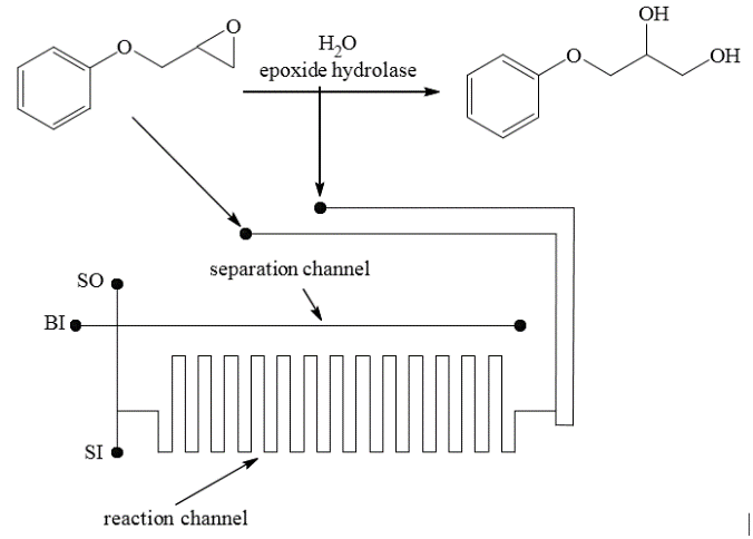 sch35